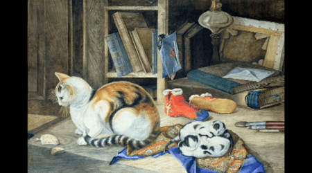 vlcsnap-2012-11-28-20h49m23s26