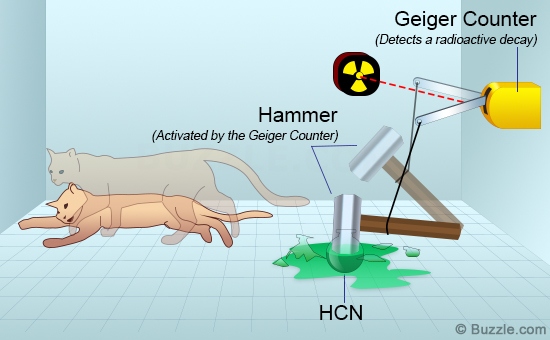 El gato de Schrödinger